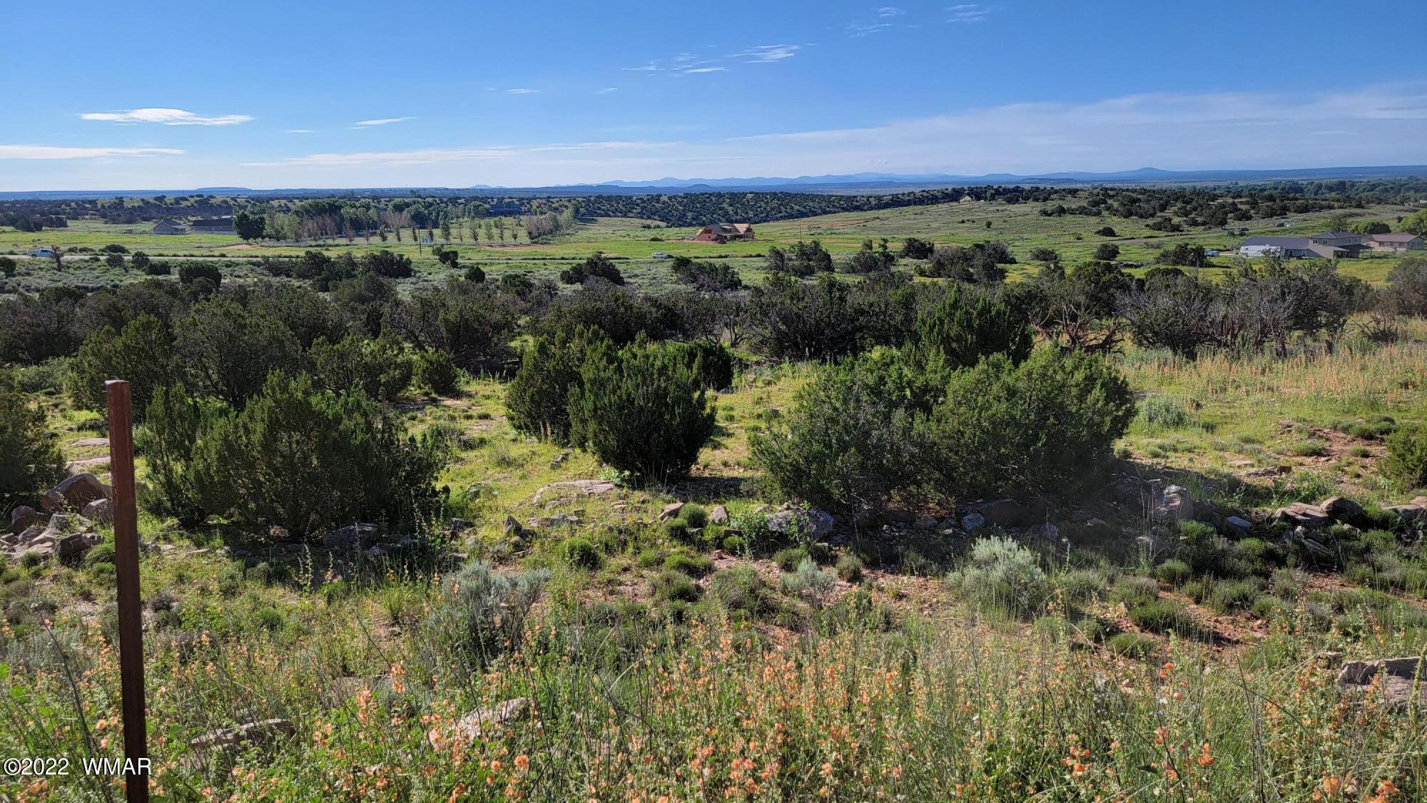 77 Highway 77 Snowflake, AZ 85937 - Photo 16 of 26