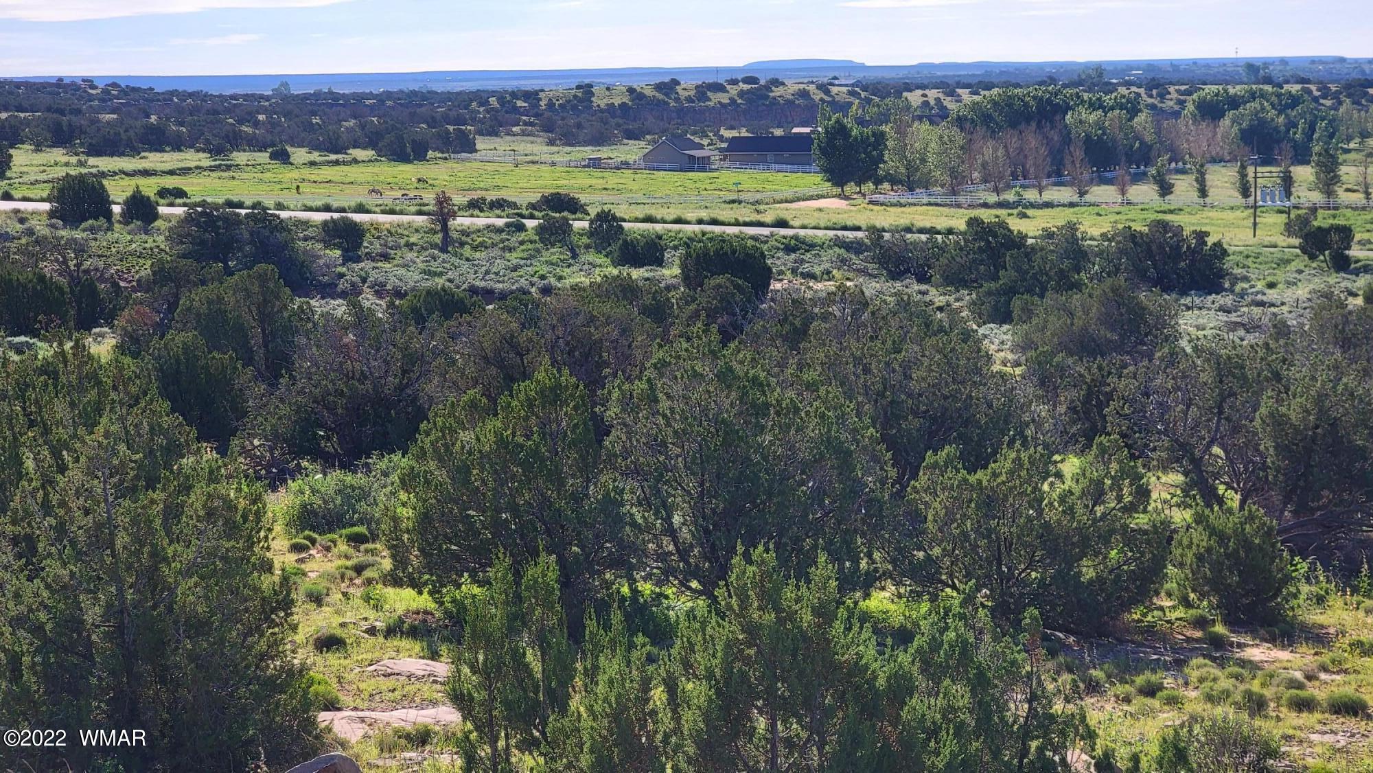 77 Highway 77 Snowflake, AZ 85937 - Photo 17 of 26