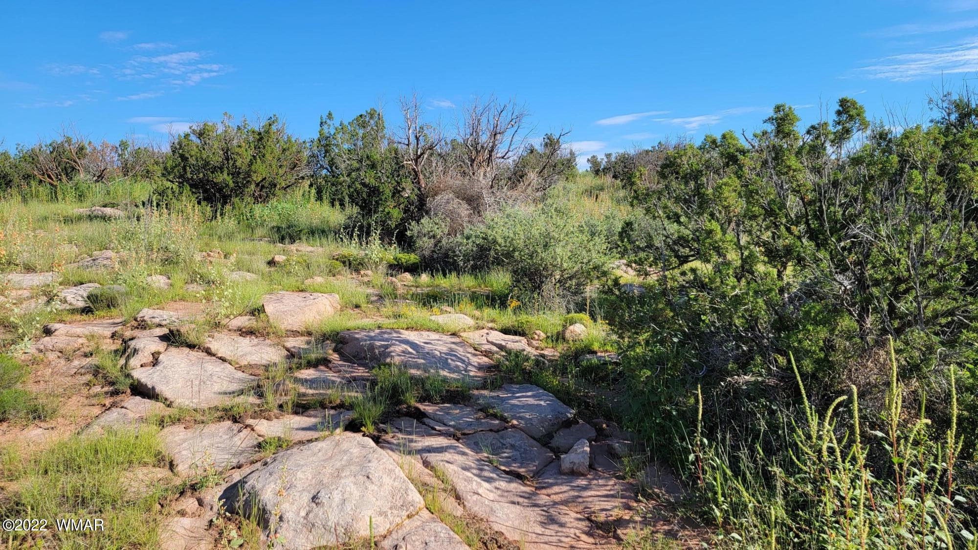 77 Highway 77 Snowflake, AZ 85937 - Photo 18 of 26