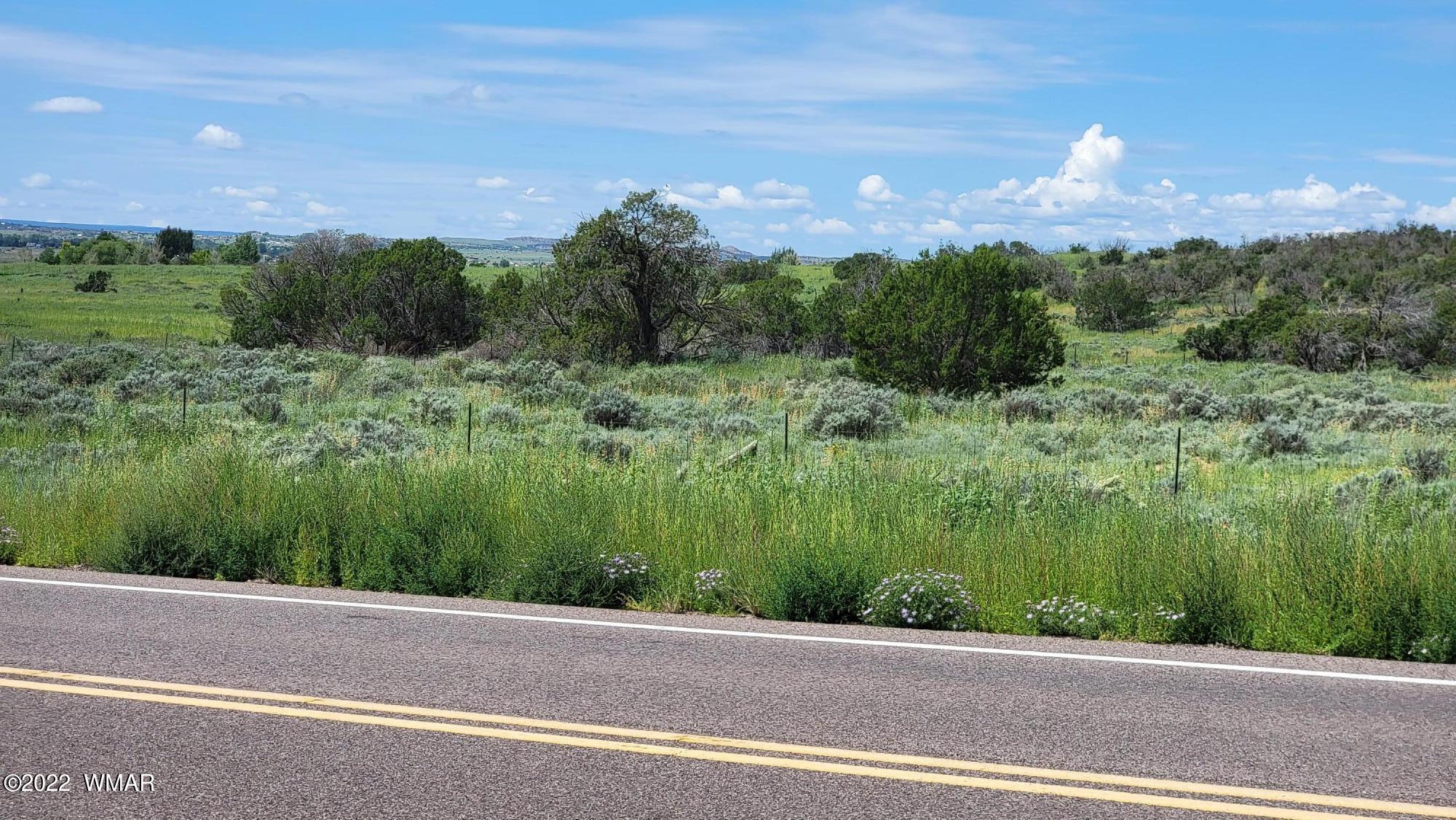 77 Highway 77 Snowflake, AZ 85937 - Photo 2 of 26