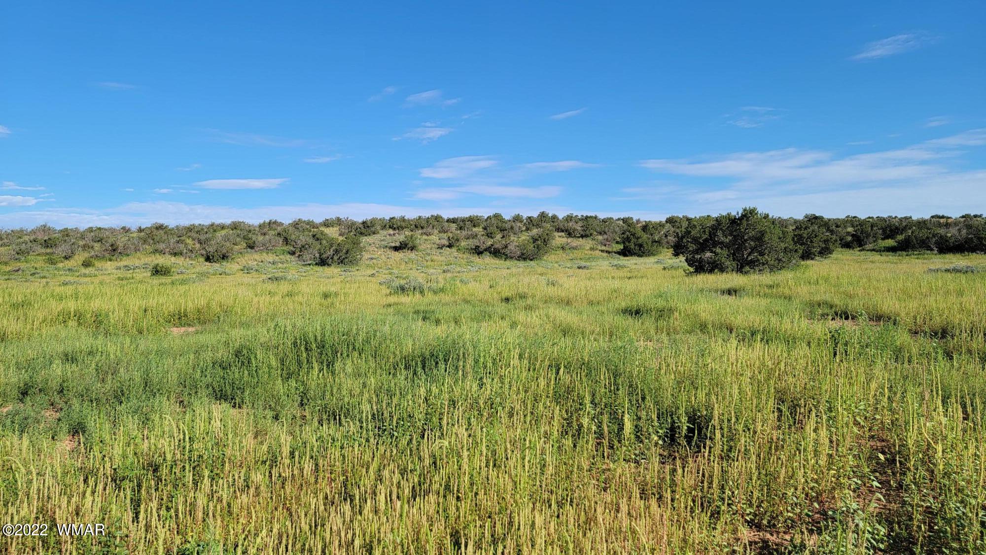 77 Highway 77 Snowflake, AZ 85937 - Photo 22 of 26