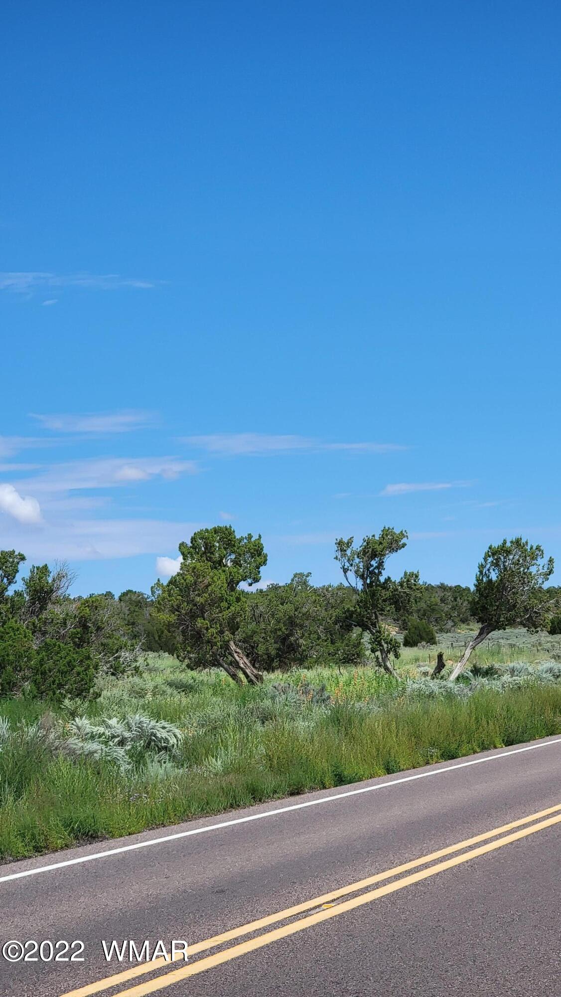 77 Highway 77 Snowflake, AZ 85937 - Photo 25 of 26