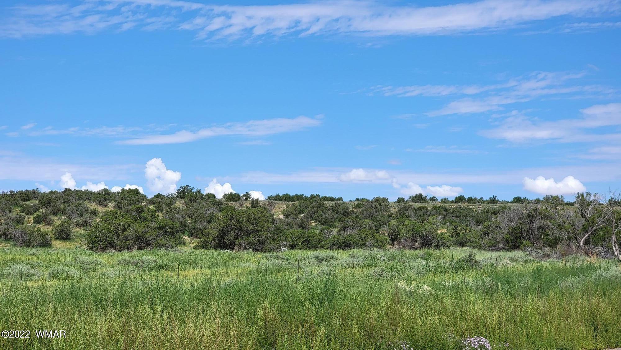 77 Highway 77 Snowflake, AZ 85937 - Photo 3 of 26