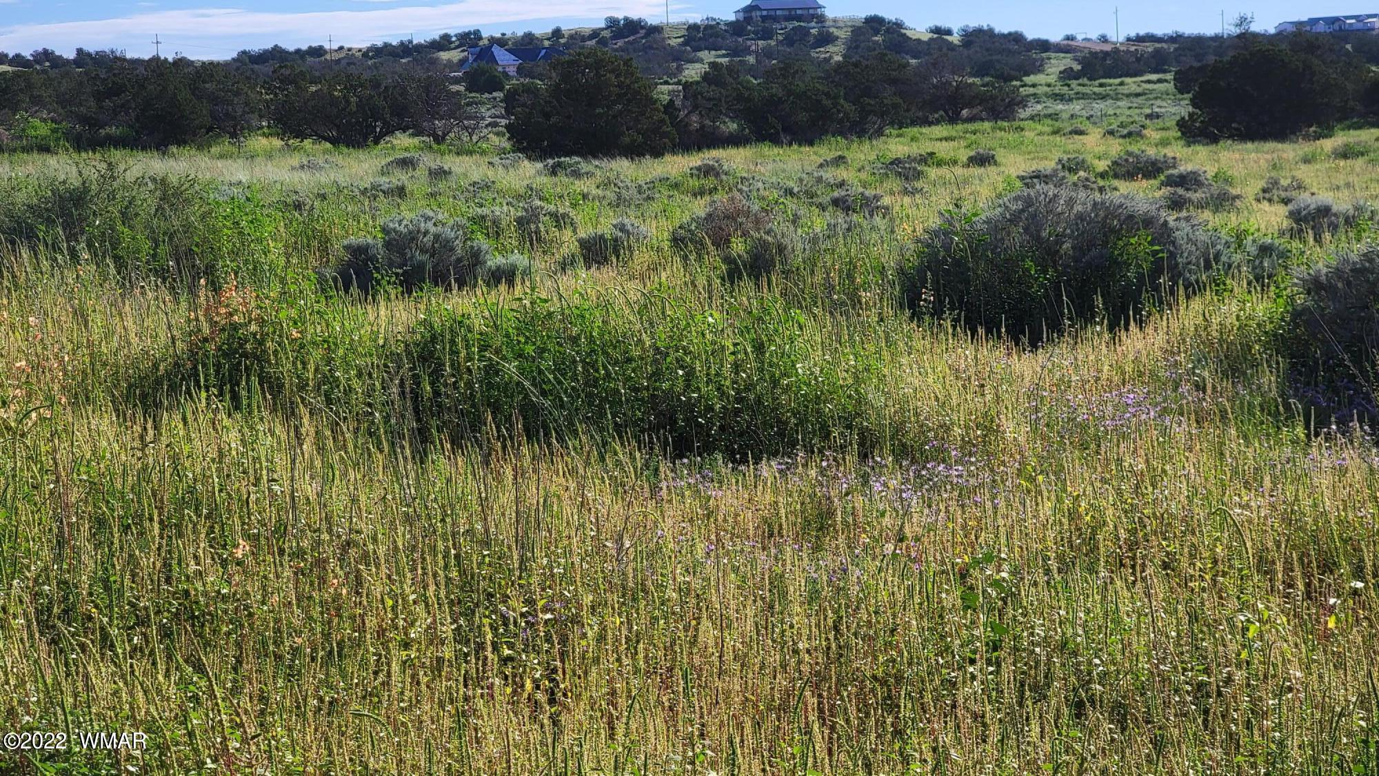 77 Highway 77 Snowflake, AZ 85937 - Photo 7 of 26