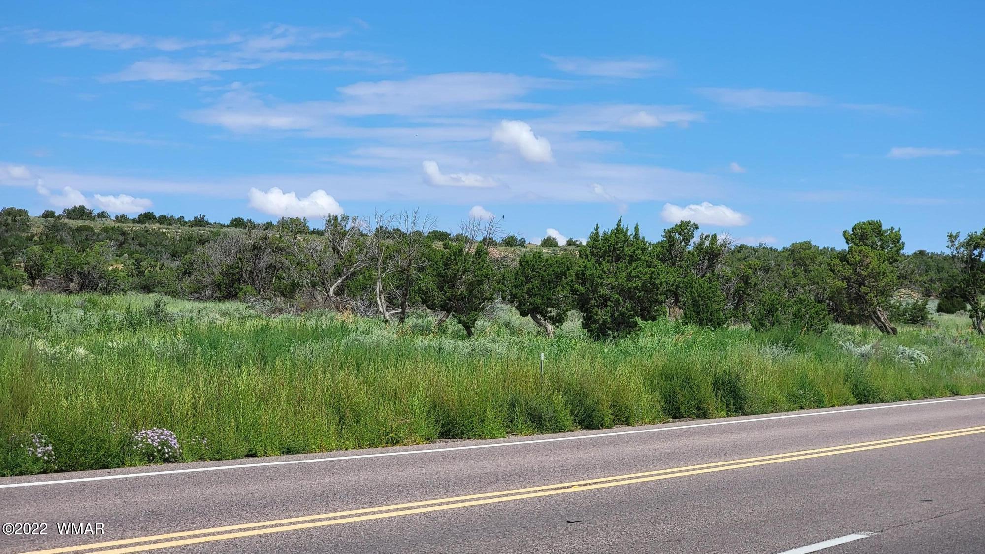 77 Highway 77 Snowflake, AZ 85937 - Photo 8 of 26