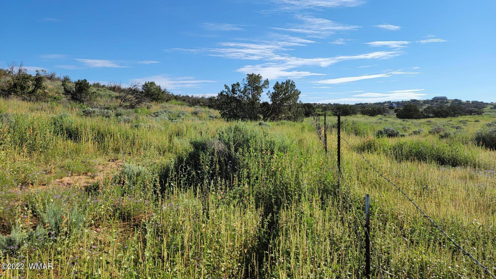 77 Highway 77 Snowflake, AZ 85937 - Photo 10 of 26