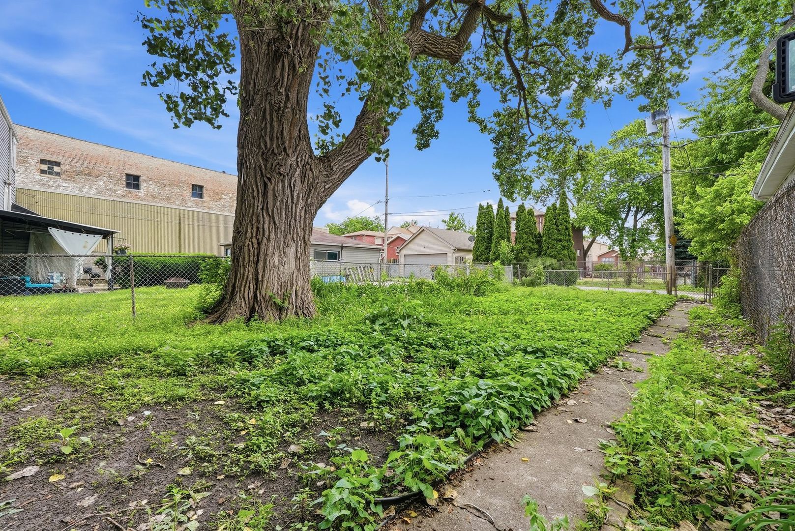 541 West Root Street Chicago, IL 60609 - Photo 18 of 21