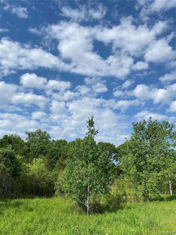 0 Kaiser Road Gregory, MI 48137 - Photo 24 of 29