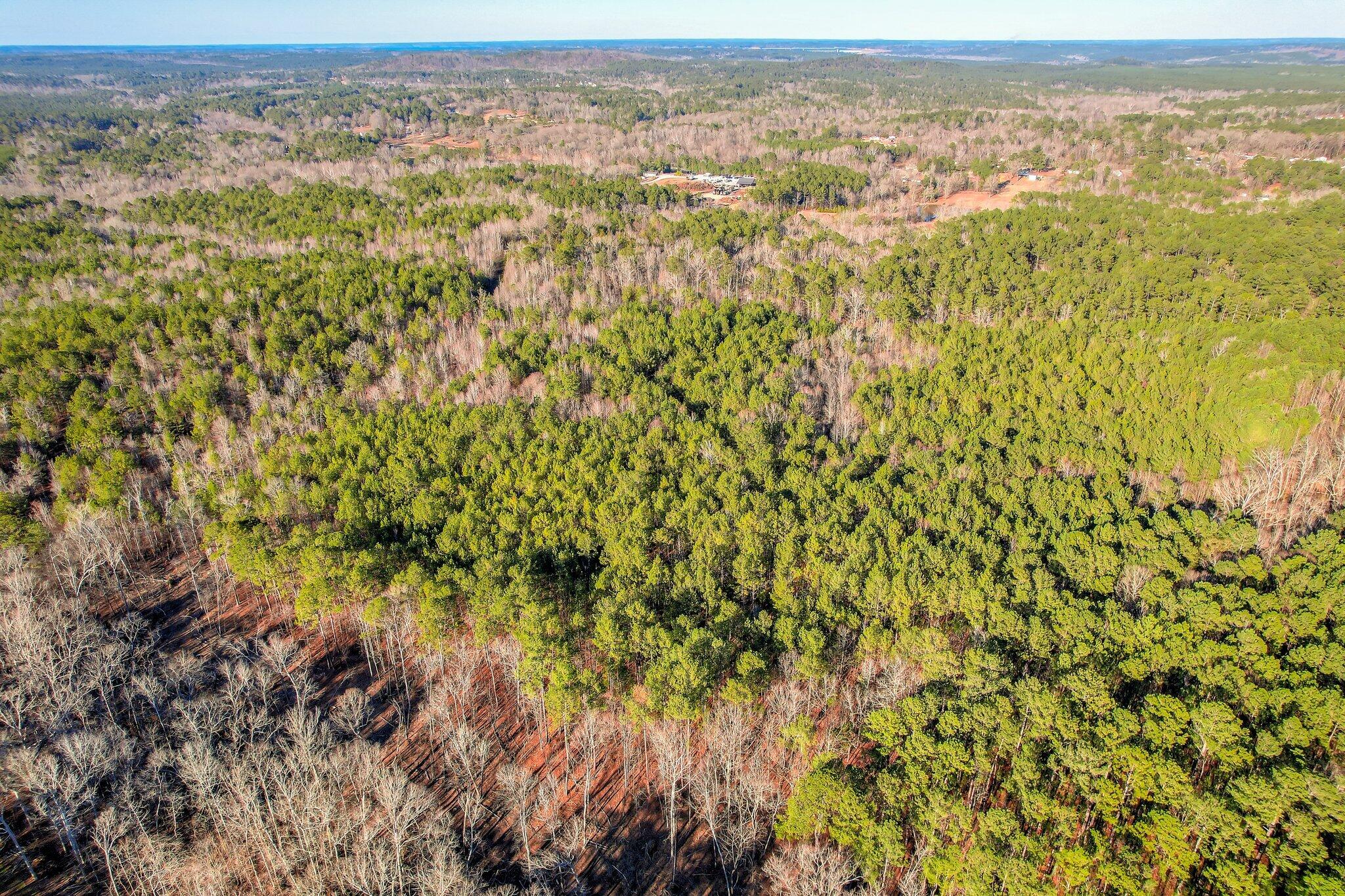 5483 Tubman Road Appling, GA 30802 - Photo 2 of 6 102 (8)