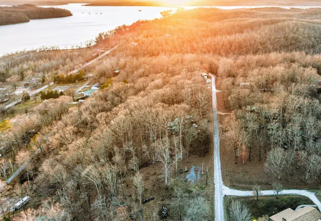 a view of a forest that has a mountain view