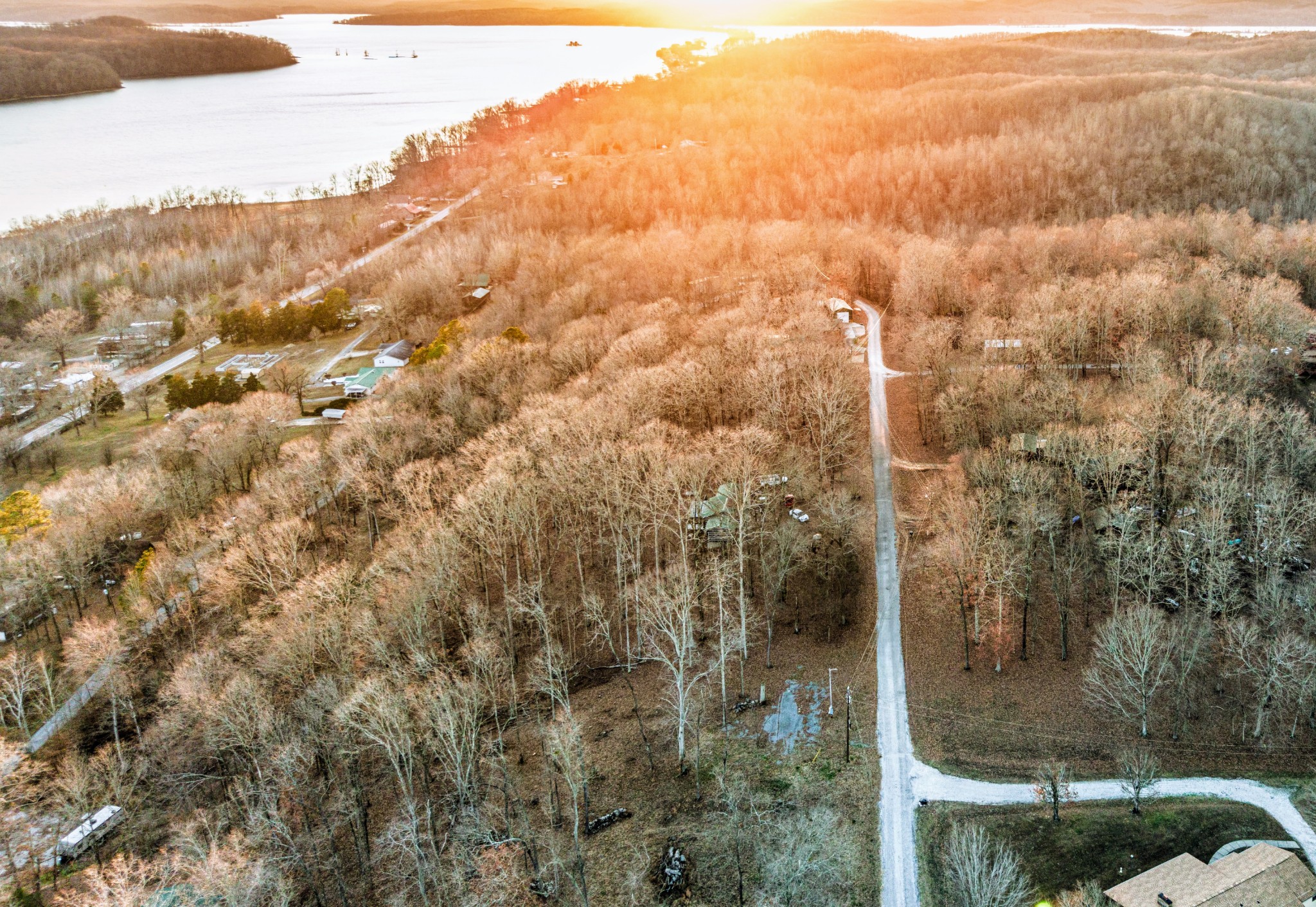 a view of a forest that has a mountain view