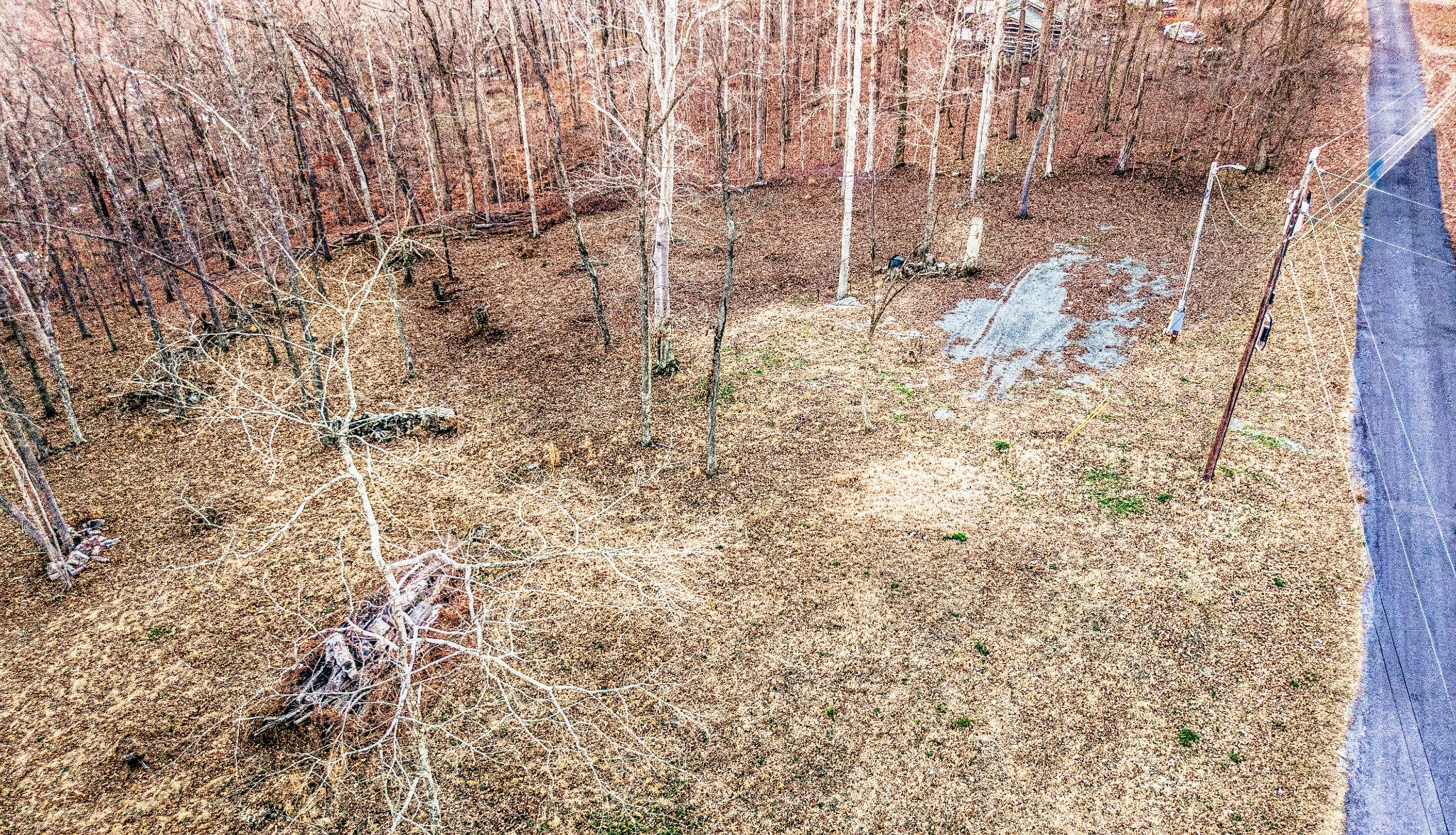 372 Cheree Loop Stewart, TN 37175 - Photo 2 of 12