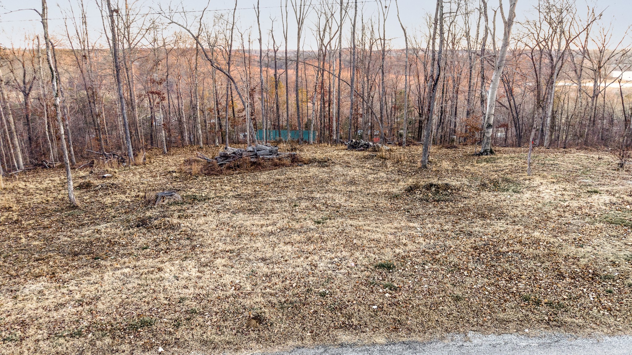 372 Cheree Loop Stewart, TN 37175 - Photo 7 of 12 a view of wooden fence