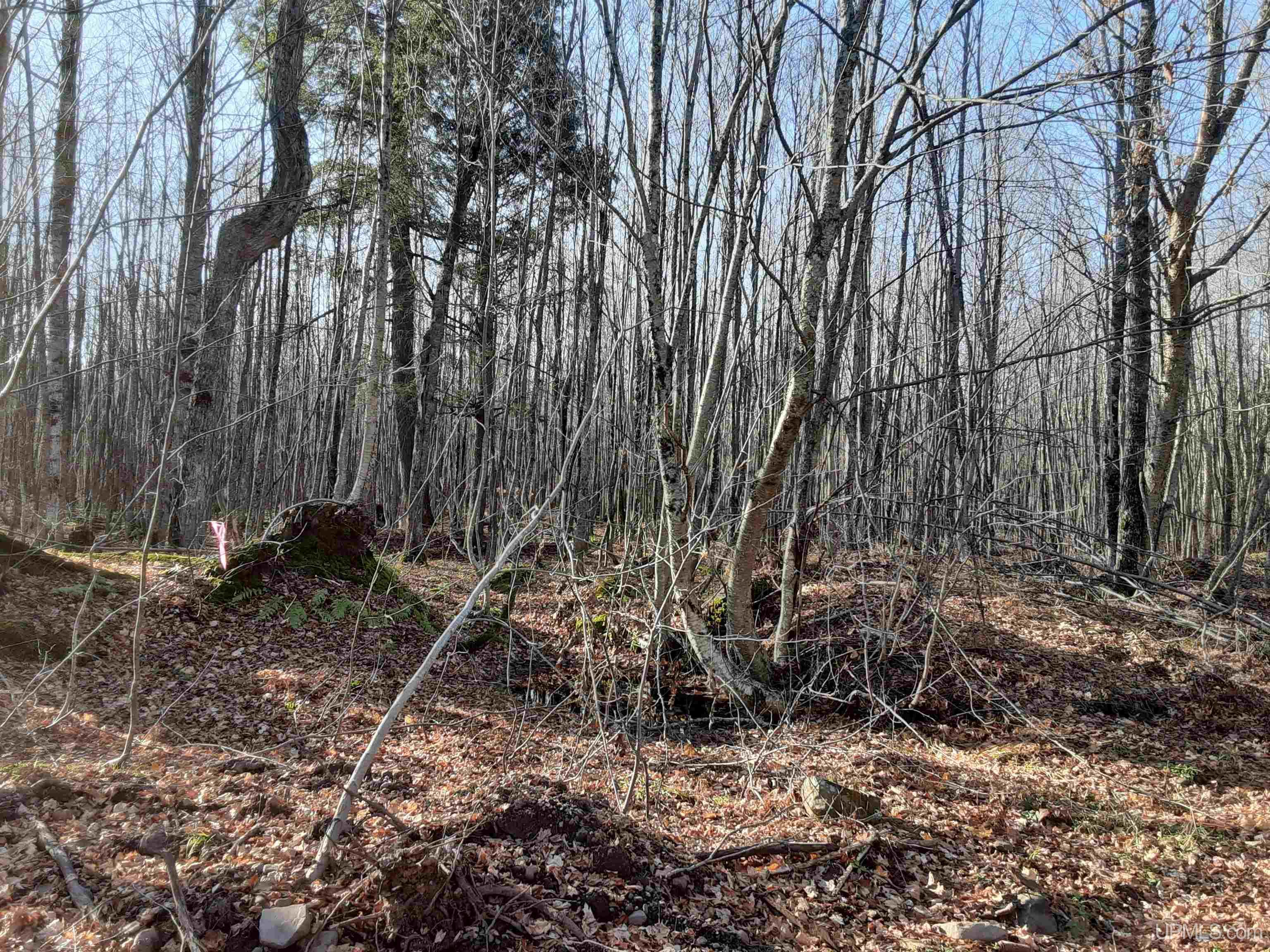 Tbd Tbd Off Sand Island Road Wakefield, MI 49968 - Photo 4 of 8