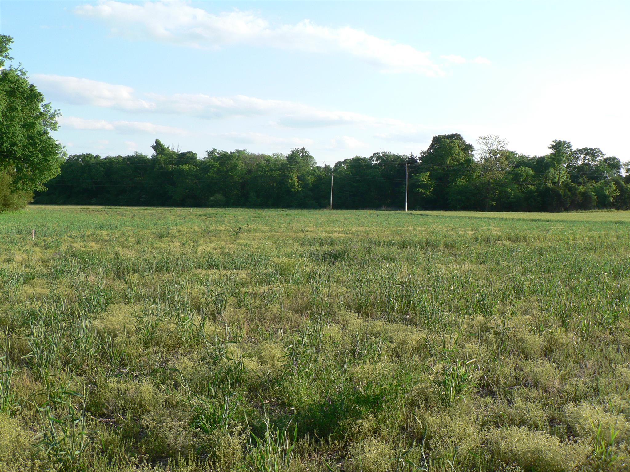 0 Neil Road Chapel Hill, TN 37034 - Photo 1 of 1 Gallery Image 1