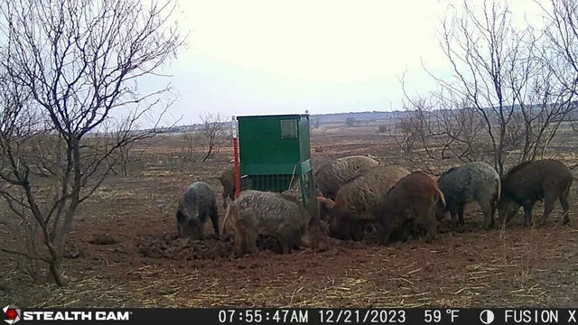 a view of an ocean view