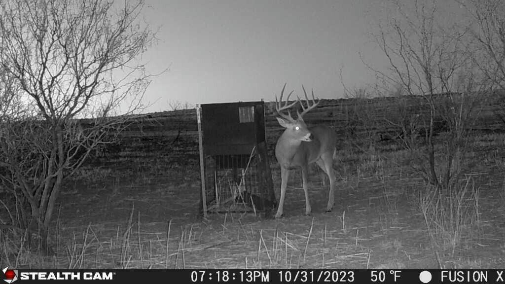 Tx-86 Turkey, TX 79261 - Photo 14 of 29 a view of a pathway with a wrought fence