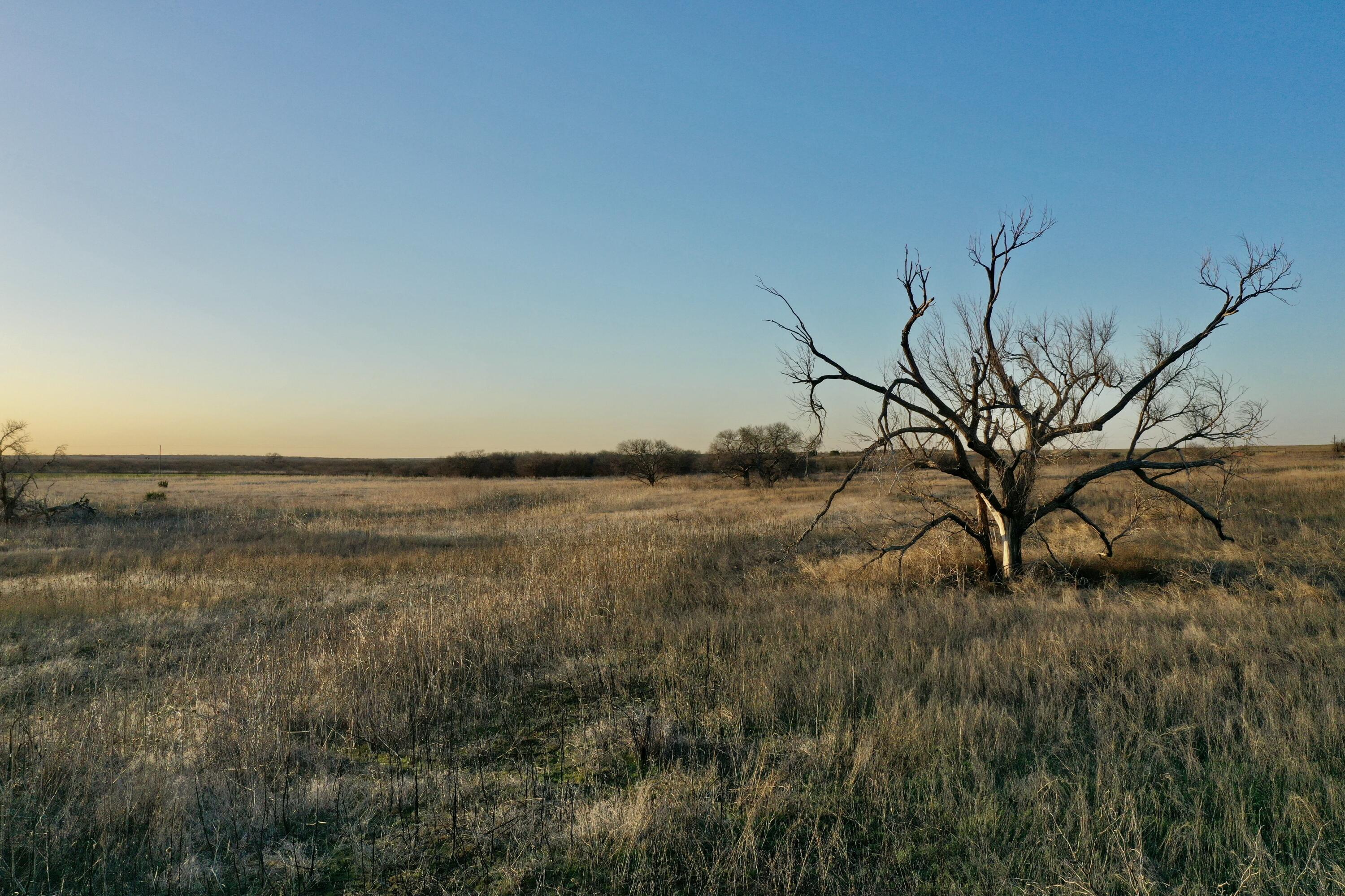 Tx-86 Turkey, TX 79261 - Photo 19 of 29 a view of lake with green space