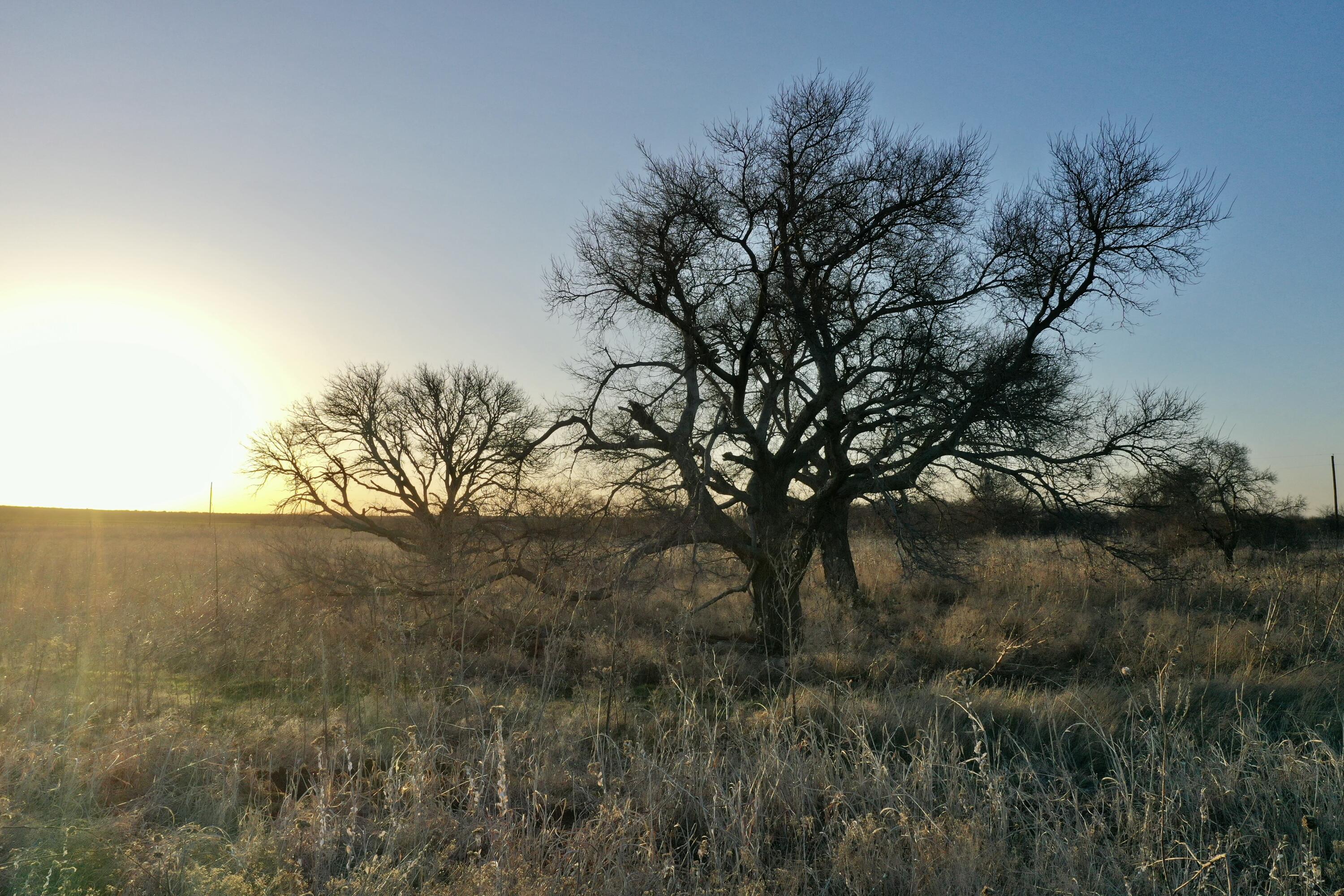 Tx-86 Turkey, TX 79261 - Photo 20 of 29 a view of mountain