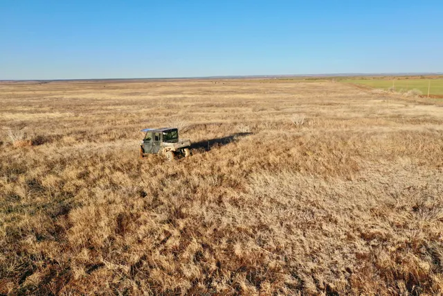 a view of a dry yard with wooden fence