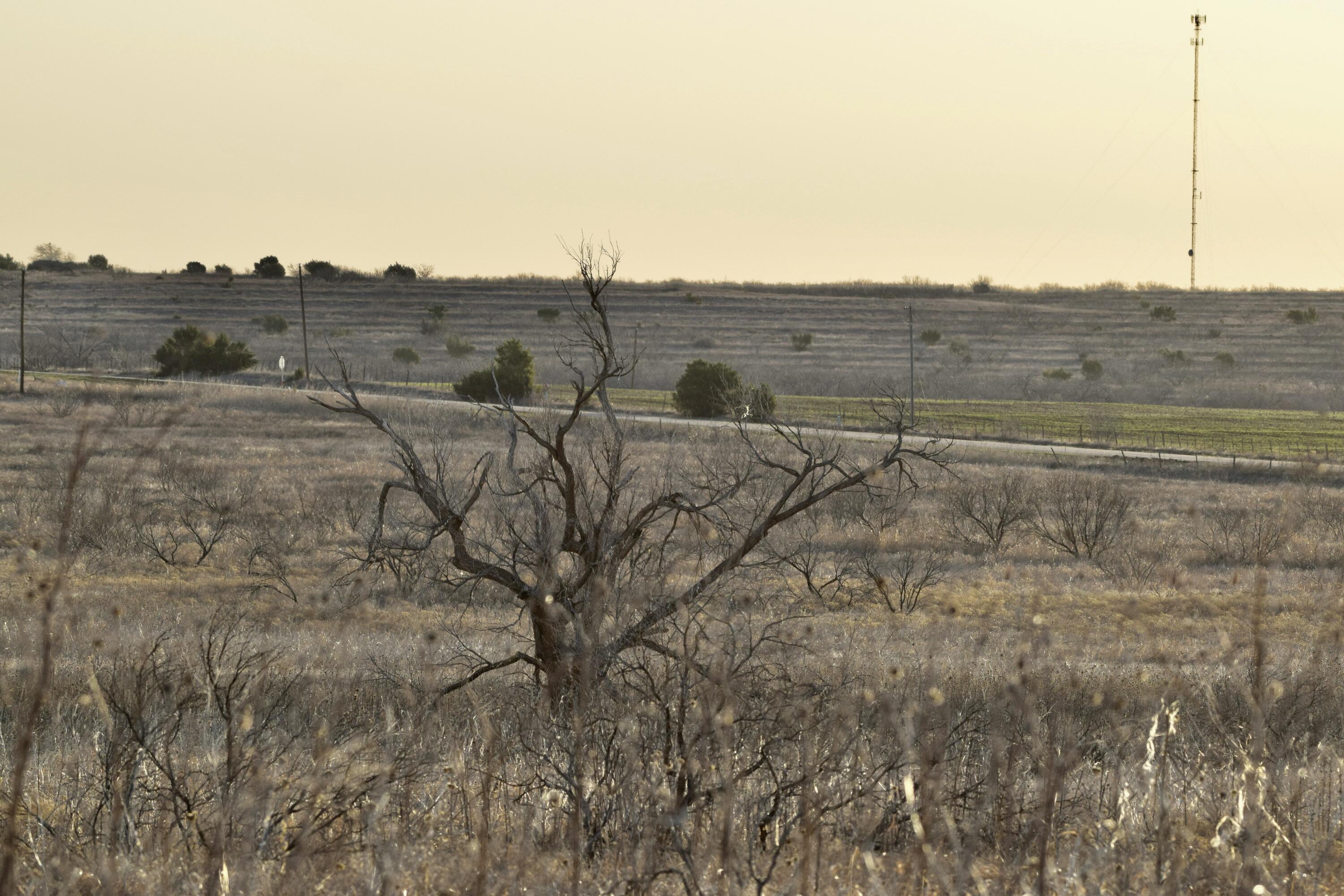 Tx-86 Turkey, TX 79261 - Photo 23 of 29 a view of a dry yard with wooden fence