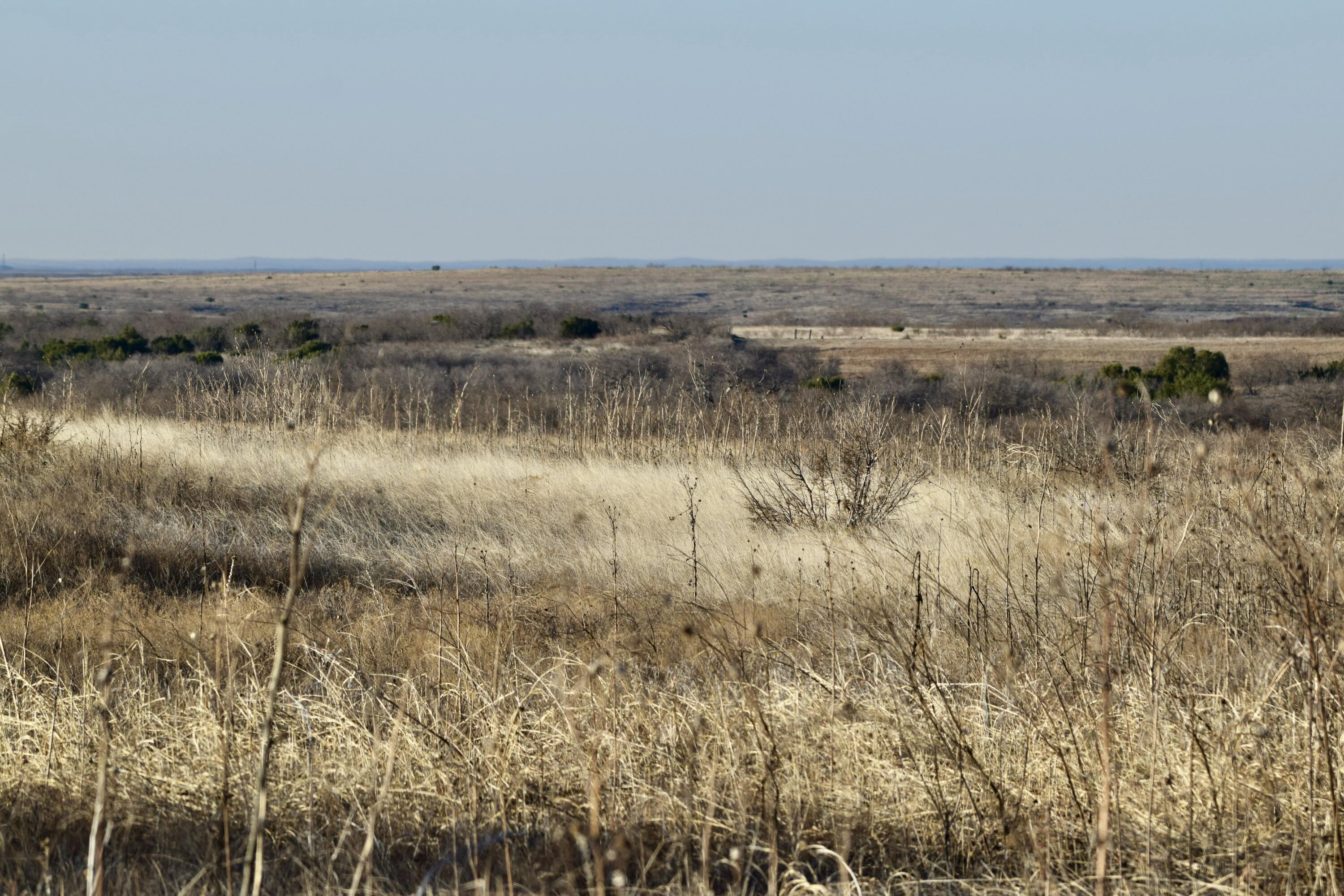 Tx-86 Turkey, TX 79261 - Photo 27 of 29 a view of a lake view
