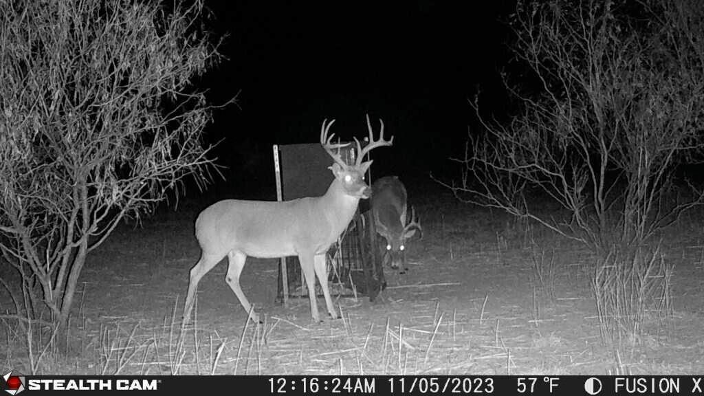 Tx-86 Turkey, TX 79261 - Photo 3 of 29 a view of a dining room with furniture and wooden floor