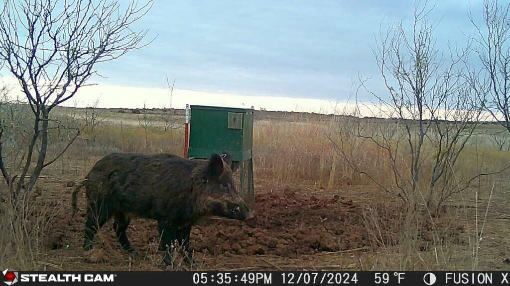 Tx-86 Turkey, TX 79261 - Photo 5 of 29 a view of a lake