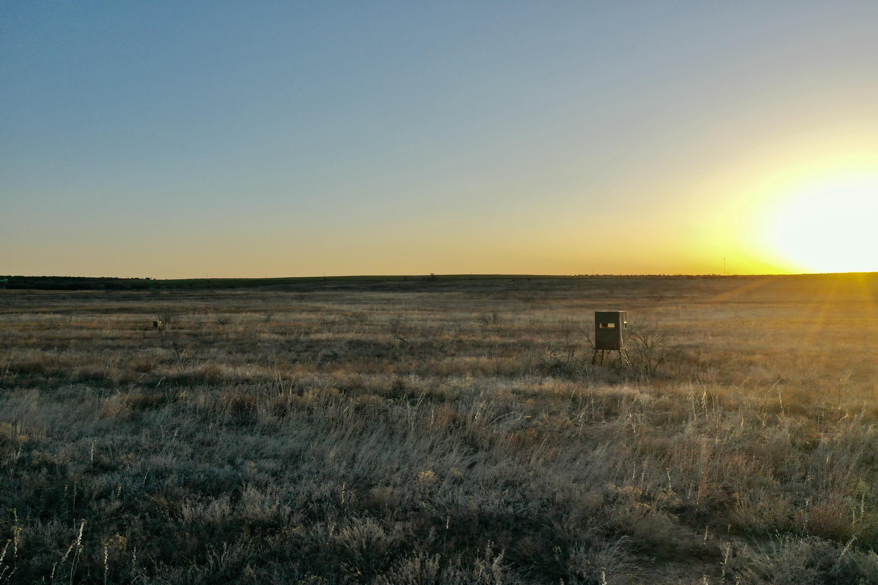 Tx-86 Turkey, TX 79261 - Photo 6 of 29