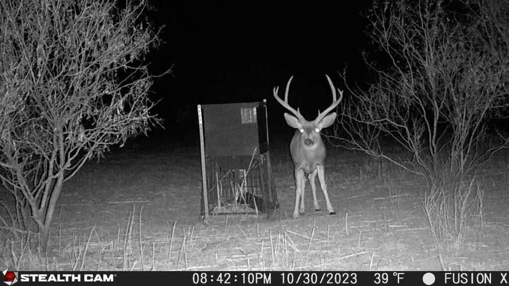 Tx-86 Turkey, TX 79261 - Photo 8 of 29 a view of outdoor space