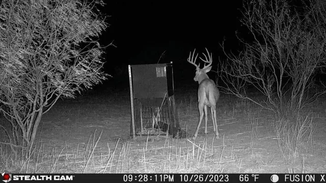 a view of lake with mountain