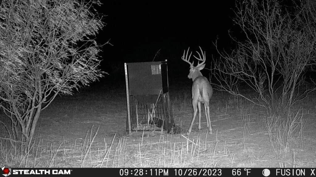 Tx-86 Turkey, TX 79261 - Photo 10 of 29 a view of outdoor space