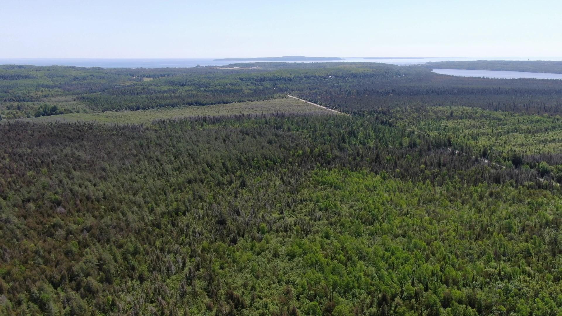 40-ac Cheeseman Road St. Ignace, MI 49781 - Photo 12 of 17 Cheeseman Rd. 40 acres (4)