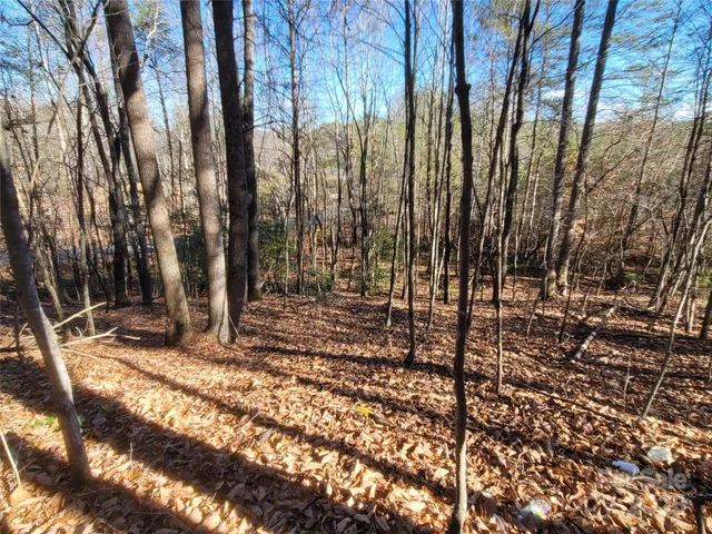 $19,500 | 0 McOwenben Pass, Unit 18, Rutherfordton, NC 28139