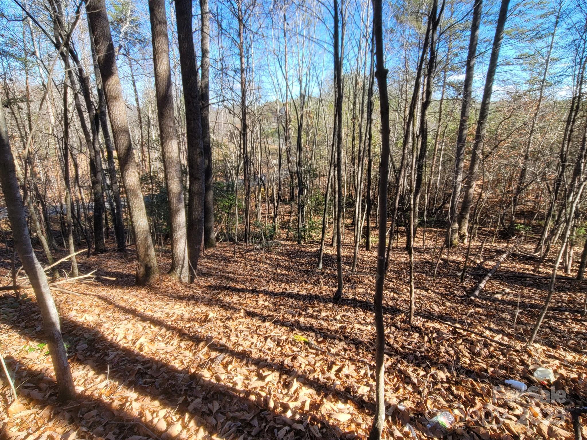 0 McOwenben Pass, Unit 18 Rutherfordton, NC 28139 - Photo 11 of 14