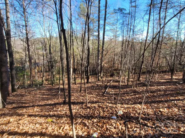 $19,500 | 0 McOwenben Pass, Unit 18, Rutherfordton, NC 28139