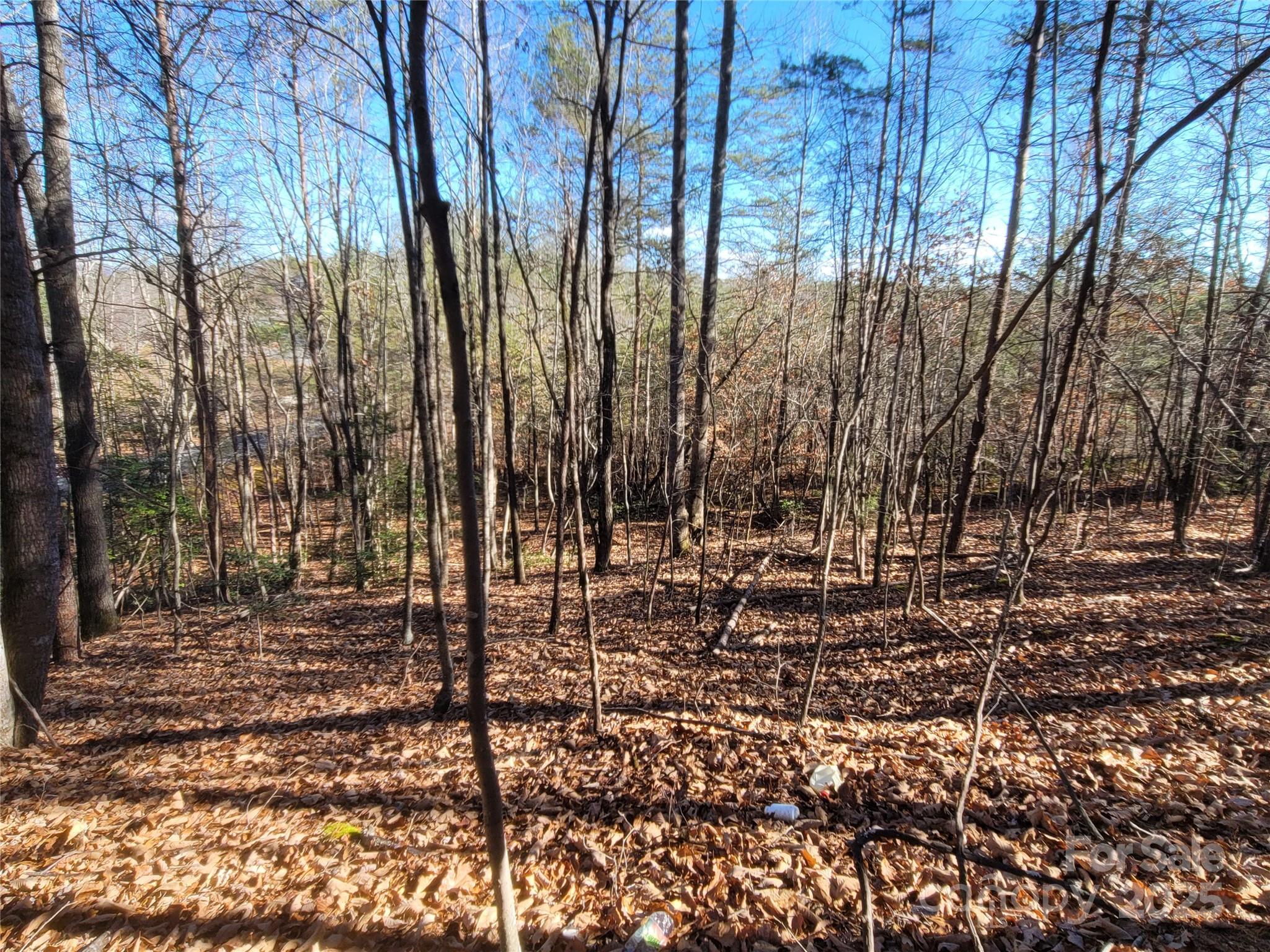 0 McOwenben Pass, Unit 18 Rutherfordton, NC 28139 - Photo 12 of 14