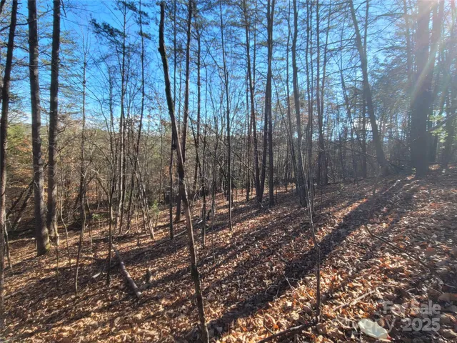 $19,500 | 0 McOwenben Pass, Unit 18, Rutherfordton, NC 28139
