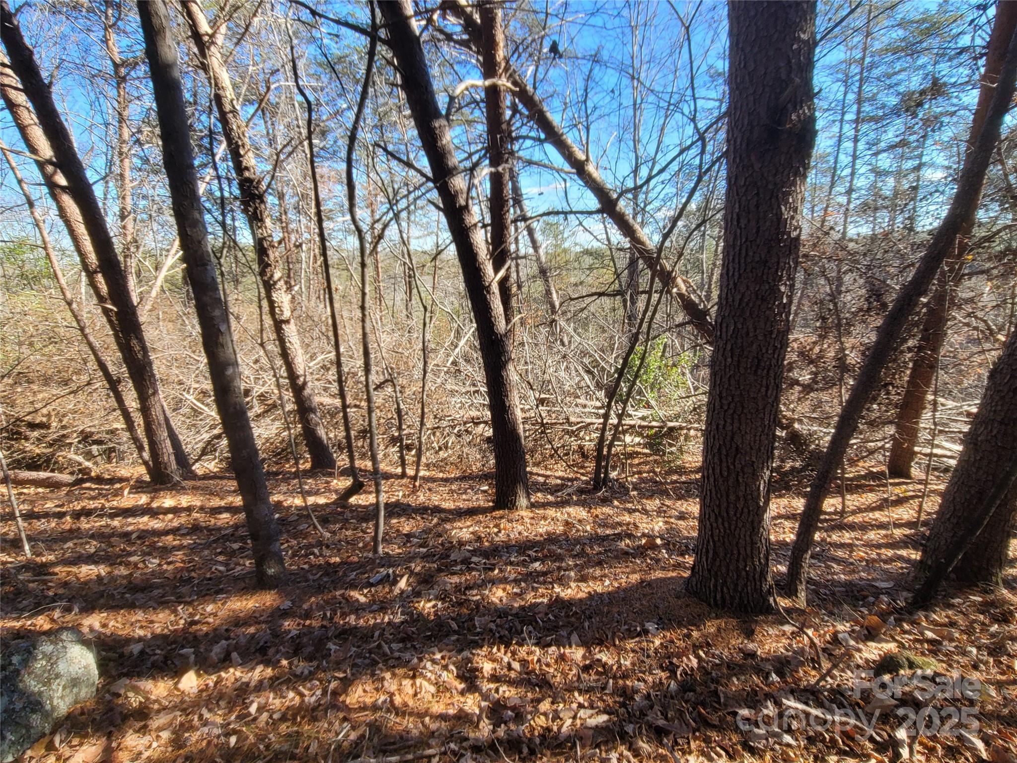 0 McOwenben Pass, Unit 18 Rutherfordton, NC 28139 - Photo 6 of 14