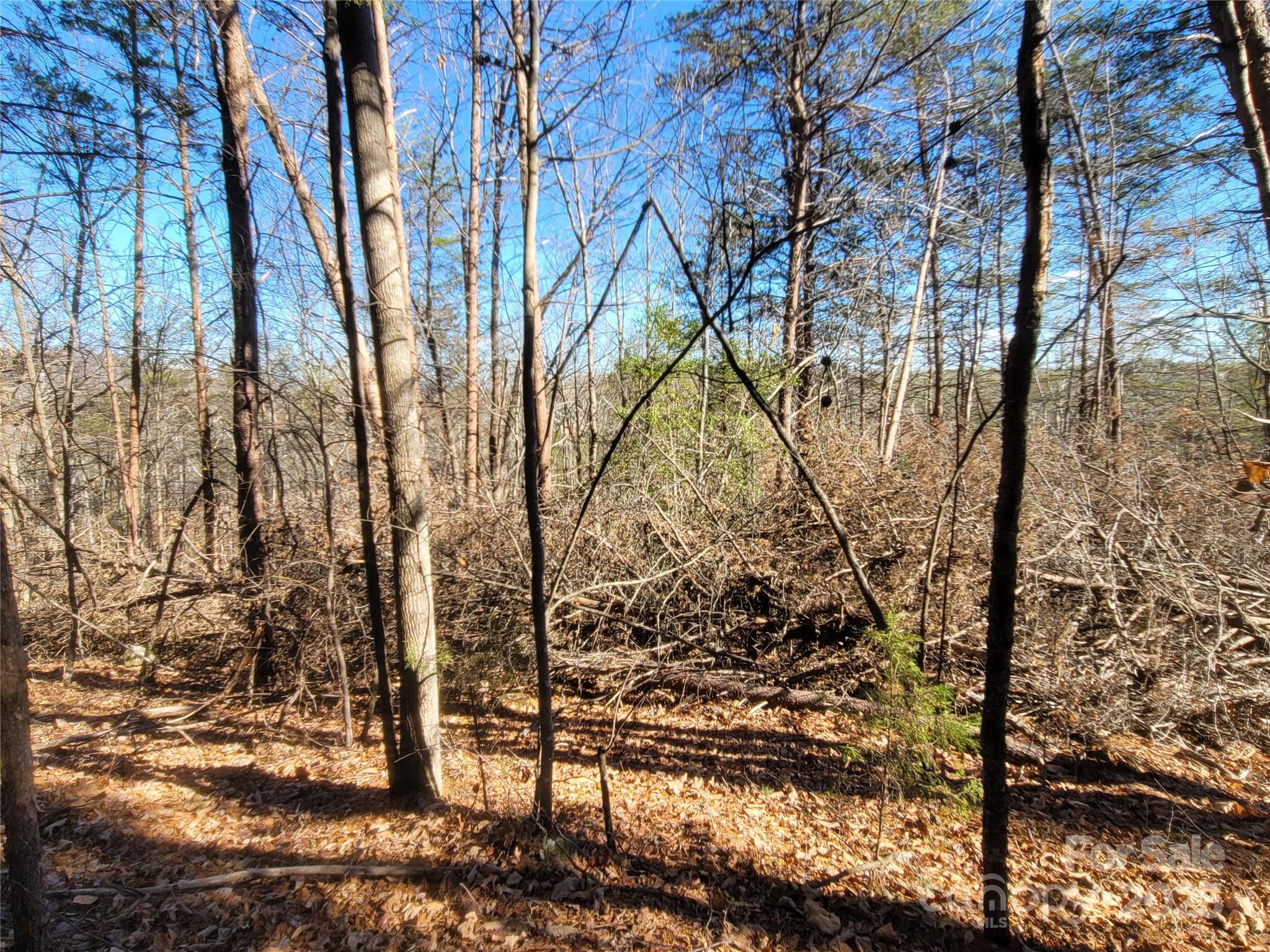 0 McOwenben Pass, Unit 18 Rutherfordton, NC 28139 - Photo 7 of 14