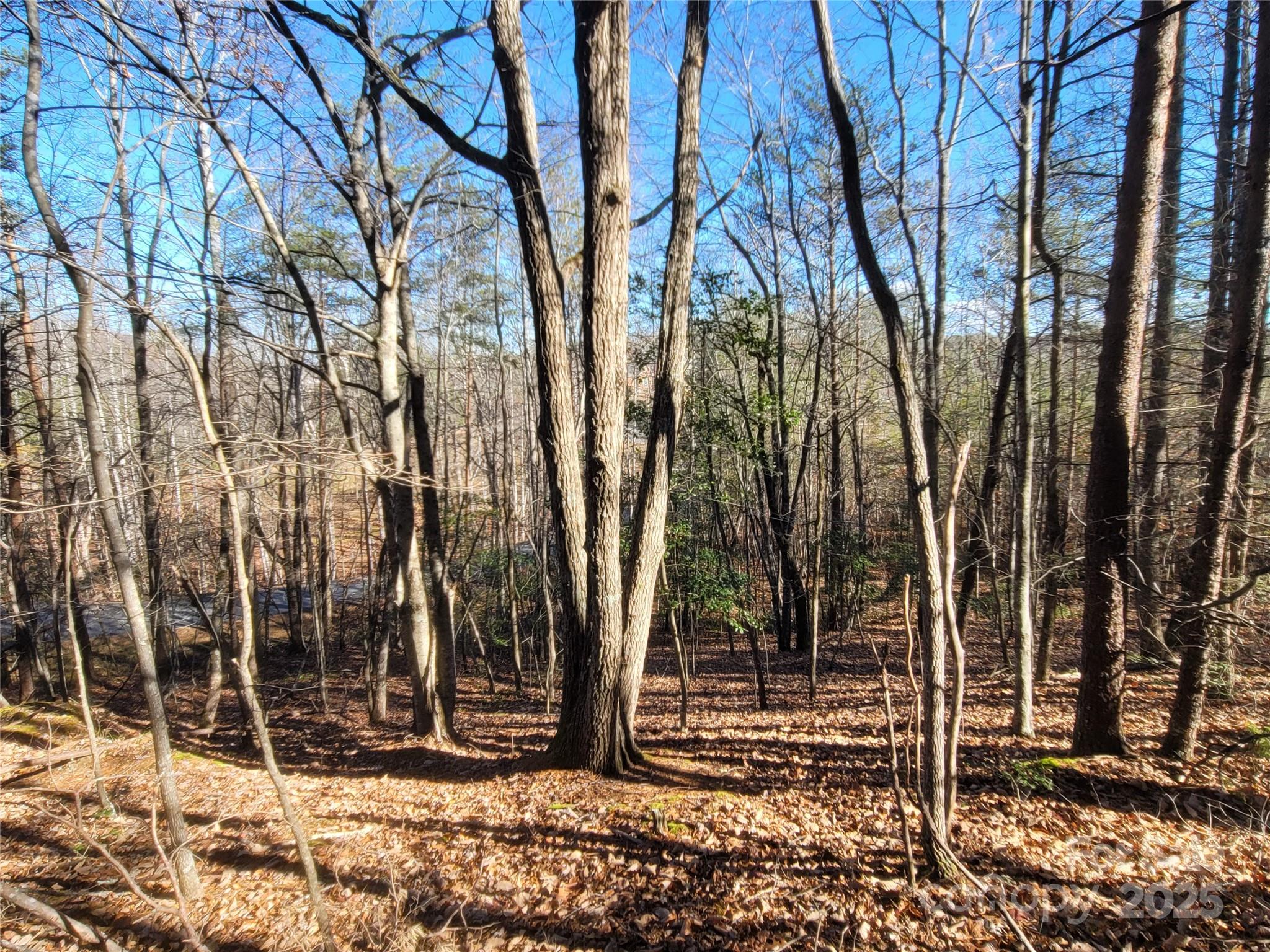 0 McOwenben Pass, Unit 18 Rutherfordton, NC 28139 - Photo 8 of 14