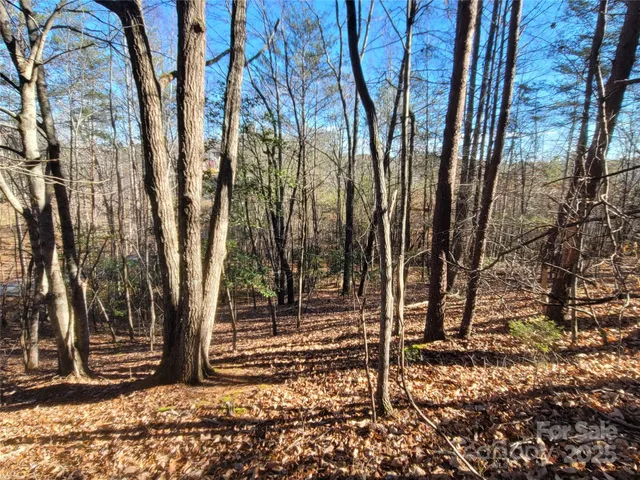 $19,500 | 0 McOwenben Pass, Unit 18, Rutherfordton, NC 28139