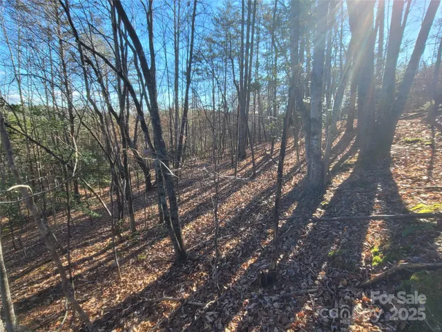 $19,500 | 0 McOwenben Pass, Unit 18, Rutherfordton, NC 28139