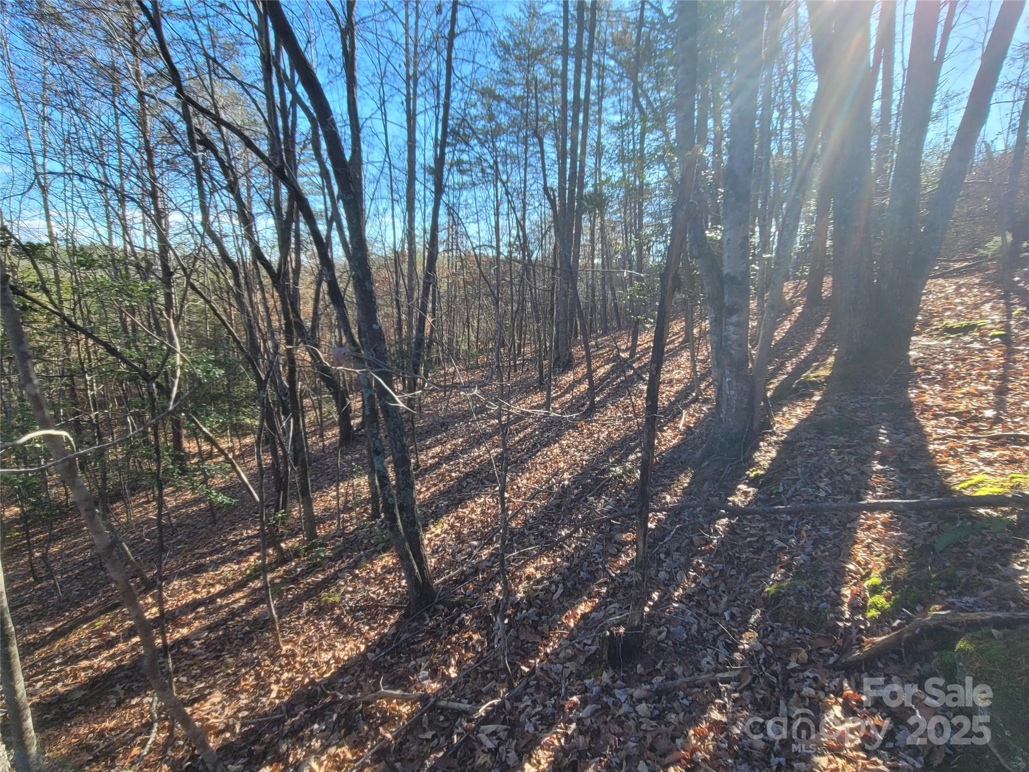 0 McOwenben Pass, Unit 18 Rutherfordton, NC 28139 - Photo 10 of 14