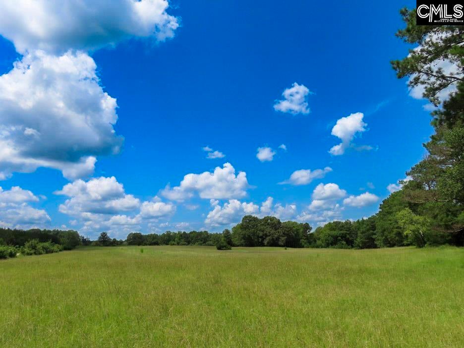 529 Martin Road Winnsboro, SC 29180 - Photo 34 of 83 Gallery Image 34