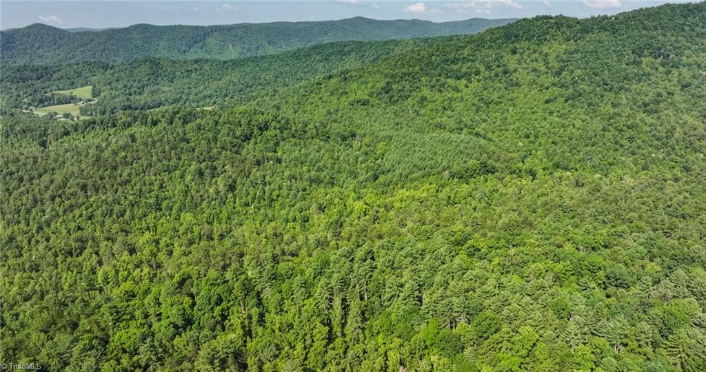 0 Boone Trail Purlear, NC 28665 - Photo 21 of 40 Gallery Image 21