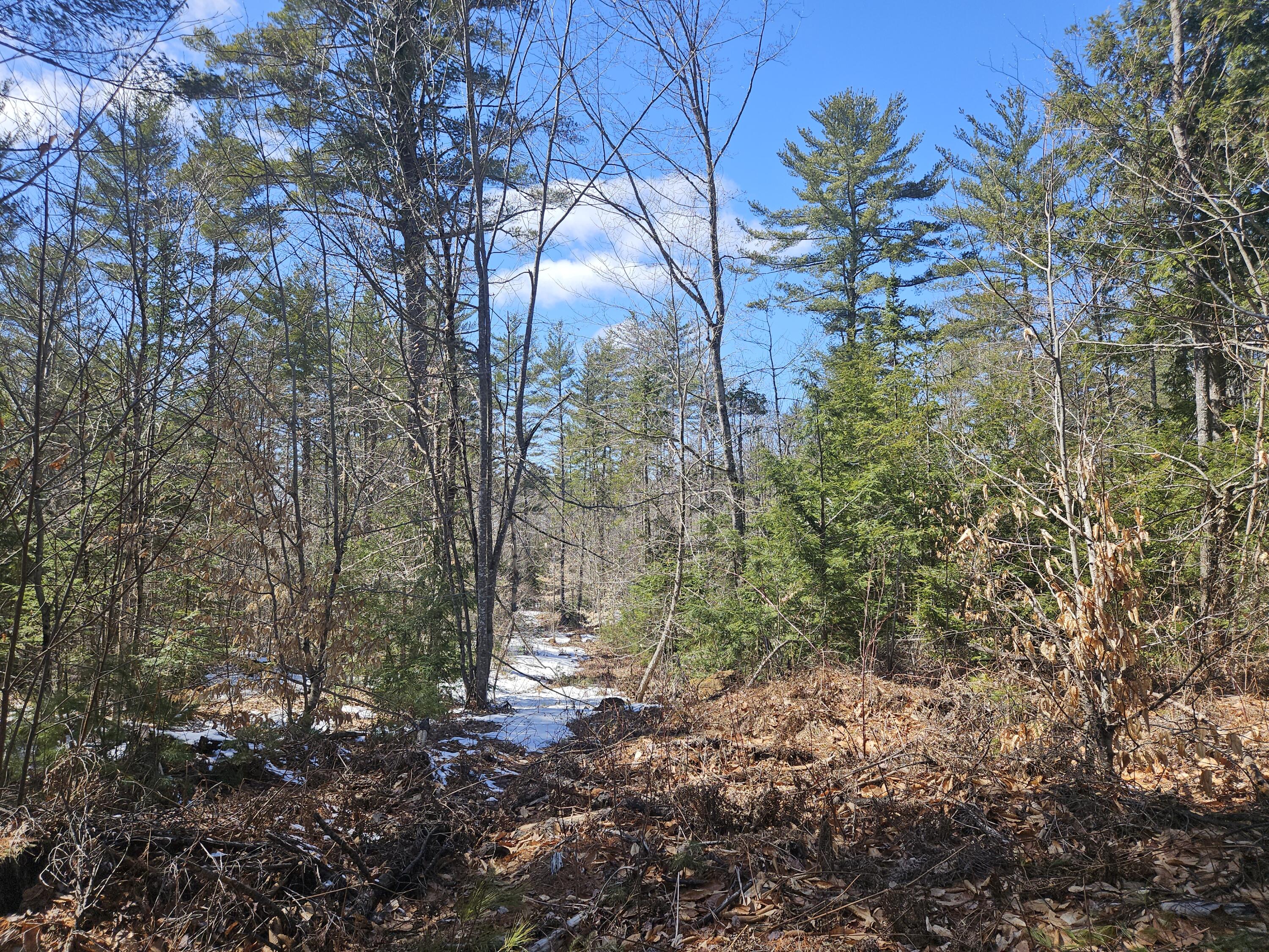Lot #33 Cape Cod Hill Road New Sharon, ME 04955 - Photo 13 of 20 20250409_131652