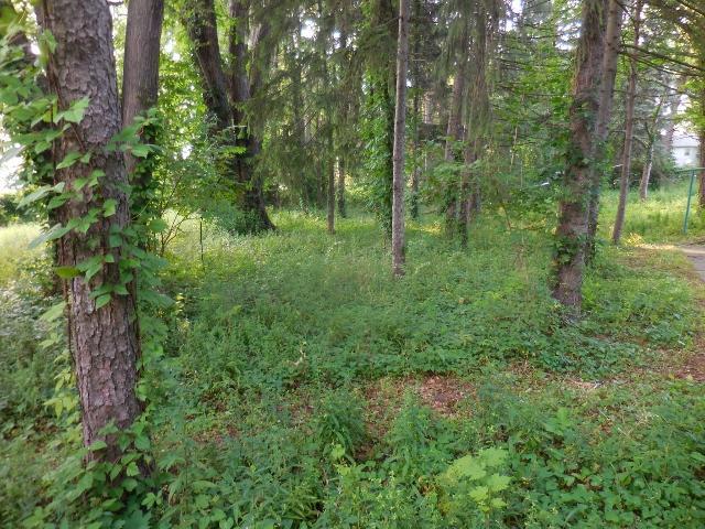 1926 East Cooke Road Columbus, OH 43224 - Photo 26 of 33