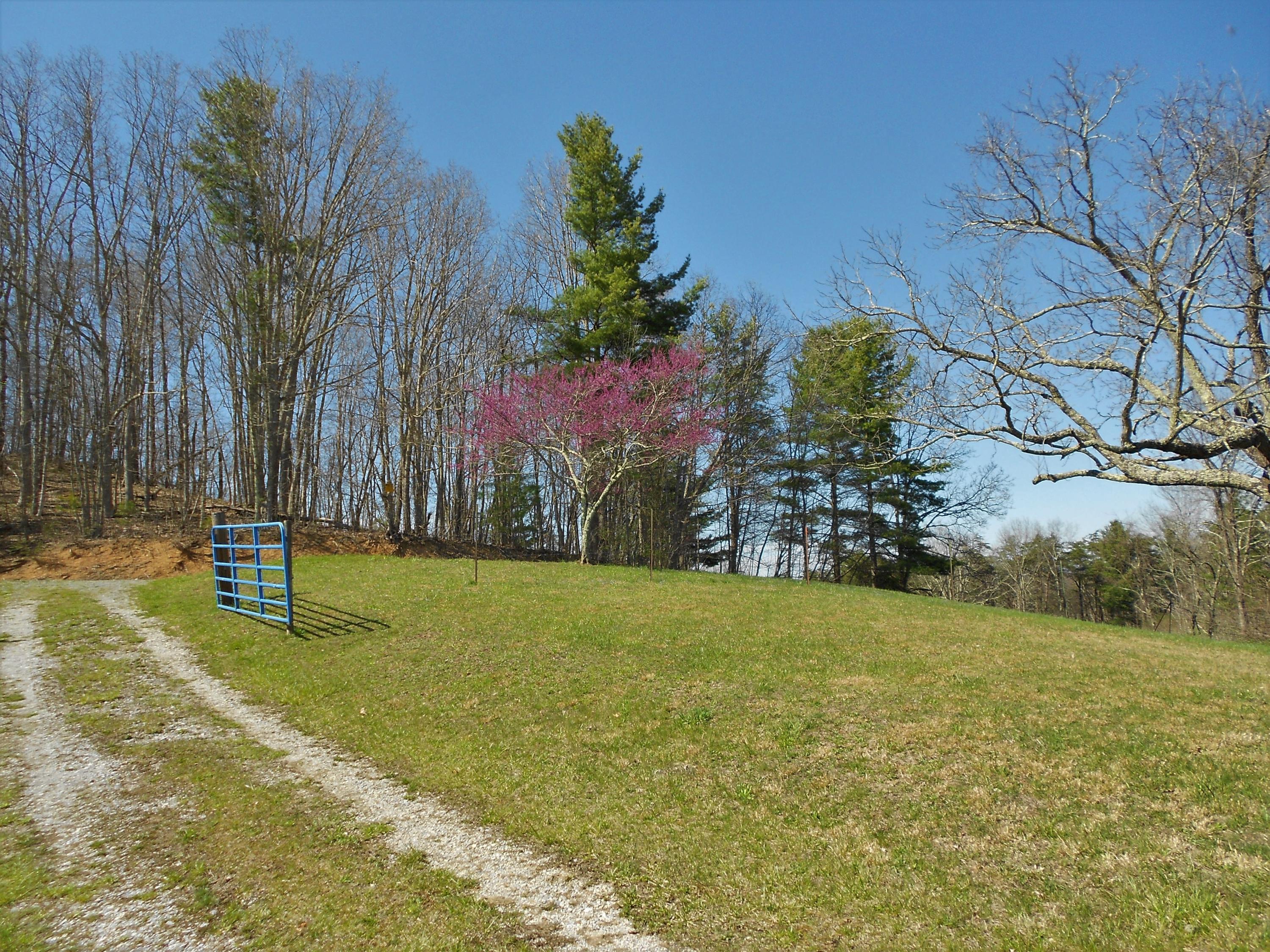 2118 River Ridge Road Pipestem, WV 25979 - Photo 51 of 71 Gallery Image 51