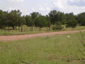 3822 Charro Road Seligman, AZ 86337 - Photo 3 of 4 Additional Photo